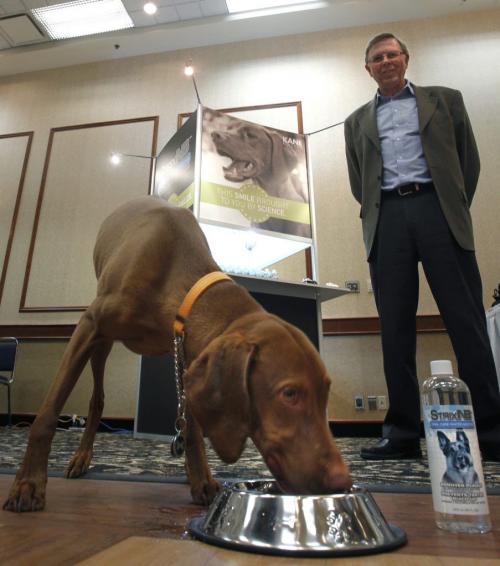 Gord Froehlich, pres. and CEO of Kane Biotech at his StrixNB new pet oral care product booth at the Central Canadian Veterinary Conference, the company launched its marketing field test for the product on Friday. The product is added to your pet's drinking water. ( Leo the dog was on hand for the photo, it is not Gord's dog). Martin Cash story  (WAYNE GLOWACKI/WINNIPEG FREE PRESS) Winnipeg Free Press  Fe.1 2013
