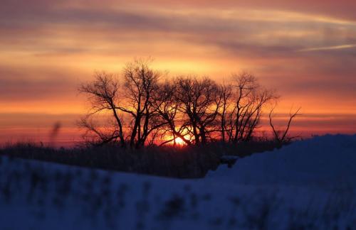 Sunrise at Oak Hammock Marsh, Saturday, February 2, 2013. (TREVOR HAGAN/ WINNIPEG FREE PRESS)