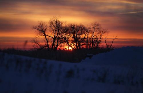 Sunrise at Oak Hammock Marsh on Groundhog Day, Saturday, February 2, 2013. (TREVOR HAGAN/WNNIPEG FREE PRESS)