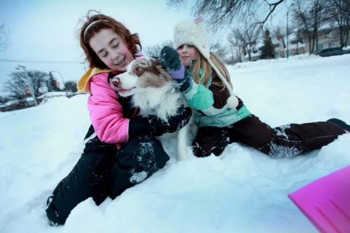Eight year old Kiera Coupland (hat, green)  plays with her sister Aliyah - 12yrs (in pink) with their dog "Trika" in deep snow next to thier home on a warm winter Saturday afternoon. Standup photo.  Feb 09, 2013, Ruth Bonneville  (Ruth Bonneville /  Winnipeg Free Press)