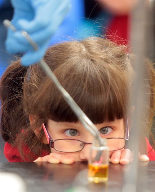 Brandon Sun A young girl moves in for a close-up view of a polymer chemical reaction experiment during Saturday's Winterlude celebrations at Brandon University. BU opened it's doors to the public showcasing many of the academic disciplines offer by the post-seconday institution caping off the day with an outdoor hockey game between faculity members and students. (Bruce Bumstead/Brandon Sun)