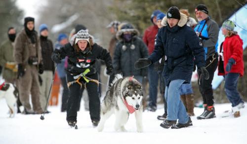 Askhim pulls Kirsty Kozie away from the start line as Kirk Stubner shous encouragement at the 6th annual Snow Motion Classic, in Birds Hill Park, Sunday, February 17, 2013. (TREVOR HAGAN/WINNIPEG FREE PRESS)