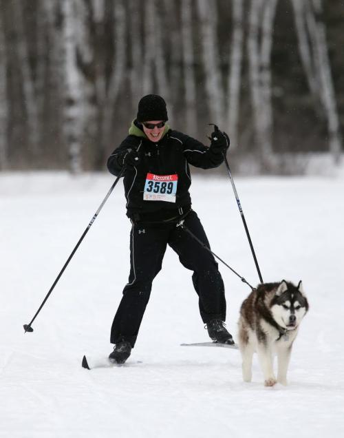 Jen McKinnon, being pulled by Rook, at the 6th annual Snow Motion Classic, in Birds Hill Park, Sunday, February 17, 2013. (TREVOR HAGAN/WINNIPEG FREE PRESS)