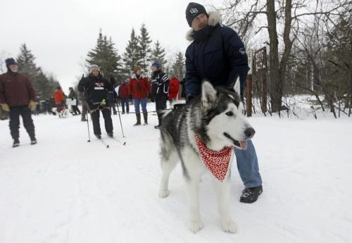 Askhim prepares to pull Kirsty Kozie away from the start line with the help of Kirk Stubner at the 6th annual Snow Motion Classic, in Birds Hill Park, Sunday, February 17, 2013. (TREVOR HAGAN/WINNIPEG FREE PRESS)