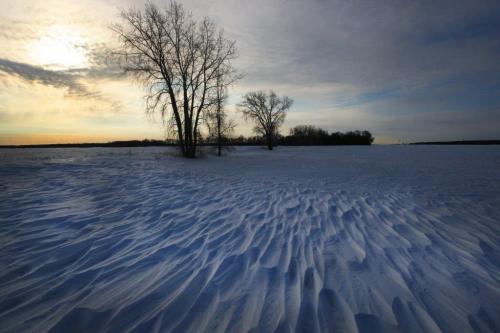 High winds have carved out snowdrifts in a farmers field on road 70 east of Hyw. 6 near Winnipeg, Manitoba Thursday  Standup photo- February 21, 2013   (JOE BRYKSA / WINNIPEG FREE PRESS)