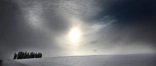 The afternoon sun peers through a snow squall south of Clanwilliam Mb Thursday afternoon. WEATHER STAND-UP? February 21, 2013 - (Phil Hossack / Winnipeg Free Press)