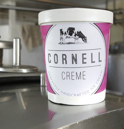 Lisa Dyck is the owner of Cornell Crème, the first artisanal ice-cream maker to set up shop in Manitoba in decades.    Bart Kives story (WAYNE GLOWACKI/ WINNIPEG FREE PRESS) WINNIPEG FREE PRESS  Feb.26 2013