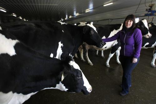 Lisa Dyck, with her family's dairy cows.  Dyck is the owner of Cornell Crème, the first artisanal ice-cream maker to set up shop in Manitoba in decades.    Bart Kives story (WAYNE GLOWACKI/ WINNIPEG FREE PRESS) WINNIPEG FREE PRESS  Feb.26 2013