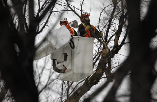A crew from the City of Winnipeg trims tree branches in a cherry picker on Edmonton Street, Sunday, March 3, 2013. ( TREVOR HAGAN/WINNIPEG FREE PRESS)