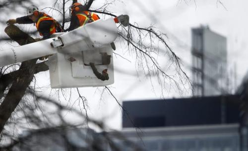 A crew from the City of Winnipeg trims tree branches in a cherry picker on Edmonton Street, south of Broadway, Sunday, March 3, 2013. The Manitoba Hydro building seen in the background. ( TREVOR HAGAN/WINNIPEG FREE PRESS)