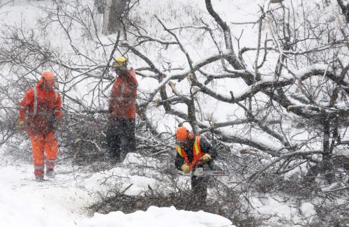 City crews cut up a giant elm tree infected with Dutch Elm disease on the frozen Lord Selkirk Creek in Kildonan Park Monday  Standup photo- March 04, 2013   (JOE BRYKSA / WINNIPEG FREE PRESS)