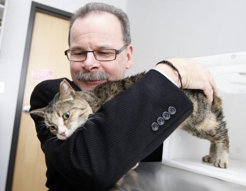 The Winnipeg Humane Society changed its policy on March 1 and will now enthanize animals without first notifying the people who surrendered the animals. The society said the change was necessary because of an overwhelmingly number of cats that cannot be adopted out. Under its new policy, the Winnipeg Humane Society will no longer contact individuals before animals they surrendered are euthanized. Animals could be selected for euthanasia due to medical complications, aggressive behaviour or, in the case of cats, lack of space in the shelter.   KEN GIGLIOTTI / Mar. 4 2013 / WINNIPEG FREE PRESS