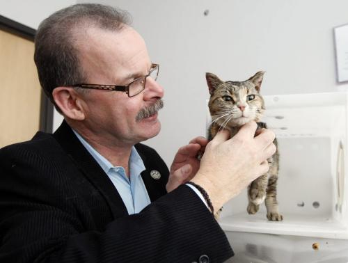 The Winnipeg Humane Society changed its policy on March 1 and will now enthanize animals without first notifying the people who surrendered the animals. The society said the change was necessary because of an overwhelmingly number of cats that cannot be adopted out.  Under its new policy, the Winnipeg Humane Society will no longer contact individuals before animals they surrendered are euthanized. Animals could be selected for euthanasia due to medical complications, aggressive behaviour or, in the case of cats, lack of space in the shelter. KEN GIGLIOTTI / Mar. 4 2013 / WINNIPEG FREE PRESS