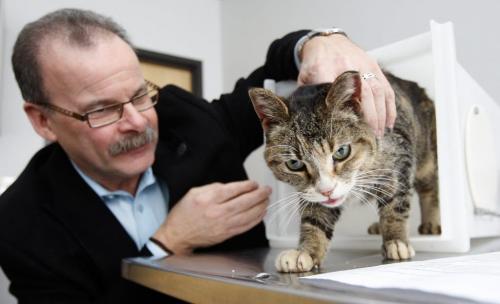 The Winnipeg Humane Society changed its policy on March 1 and will now enthanize animals without first notifying the people who surrendered the animals. The society said the change was necessary because of an overwhelmingly number of cats that cannot be adopted out. Under its new policy, the Winnipeg Humane Society will no longer contact individuals before animals they surrendered are euthanized. Animals could be selected for euthanasia due to medical complications, aggressive behaviour or, in the case of cats, lack of space in the shelter. KEN GIGLIOTTI / Mar. 4 2013 / WINNIPEG FREE PRESS