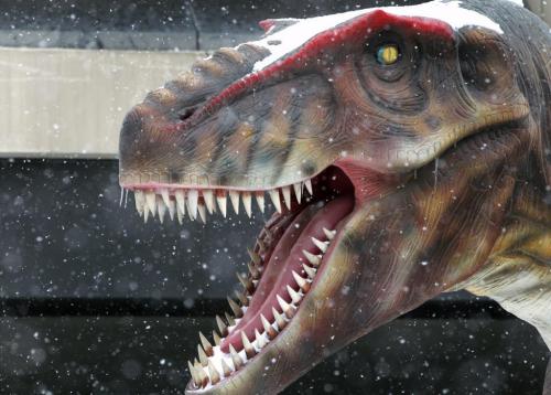 Tyrannosaurus rex outside Manitoba Museum covered in snow- The exhibit Dinosaurs Unearthed  will be open at the museum until Apr 07, 2013- Recently the exhibit welcomed their 50,000 visitor   Standup photo- March 06, 2013   (JOE BRYKSA / WINNIPEG FREE PRESS)