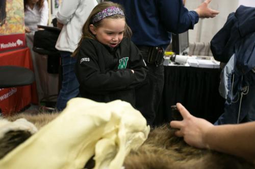 Maryn Jones, 7, reacts when a bear claw is lifted on a bear pelt at the "Bear Smart" Government of Manitoba display at the Cottage Show. Maryn's family has a cottage on Lake Manitoba and she's seen one baby bear from a car while at the garbage dump. (Melissa Tait / Winnipeg Free Press)