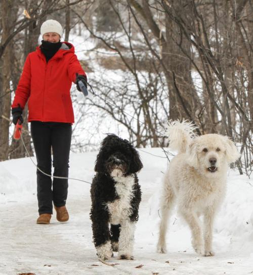 It may be doggone cold out, but that doesn't stop dog walker Shauna Jessiman from taking Ruby (black) and Guy (white) for a stroll through Assiniboine Park on Friday, March 15, 2013. (STANDALONE WEATHER FEATURE) (JESSICA BURTNICK/WINNIPEG FREE PRESS)
