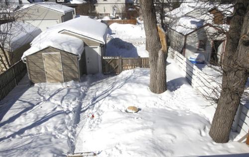 Homes.Resale. The house is at  278 Berry Street in St. James. View from the second floorof the backyard. The realtor is Shona Scappaticci.  Todd Lewys story (WAYNE GLOWACKI/WINNIPEG FREE PRESS) Winnipeg Free Press March 21 2013