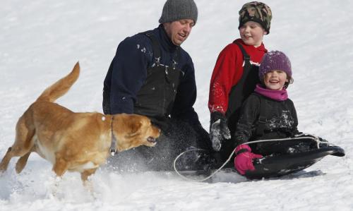March 23, 2013 - 130323  -  Brendan, Carson, Hayley Toet go sledding at Kilcona Park with their dog Sheela Saturday, March 23, 2013. John Woods / Winnipeg Free Press