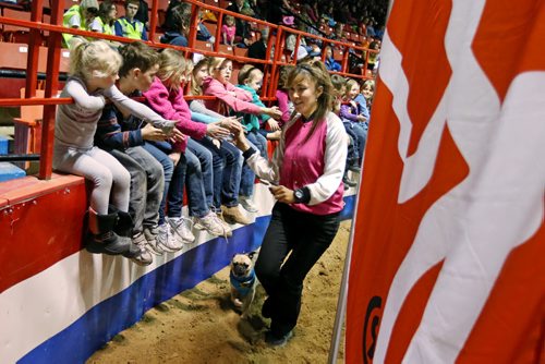 Brandon Sun 25032013 The President's Choice SuperDogs and their trainers are greeted by young fans at Westman Place during a performance during the Royal Manitoba Winter Fair on Monday. (Tim Smith/Brandon Sun)