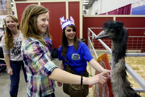 Brandon Sun 25032013 Erynn Buhr and Erin Clarke visit with an emu in the Thru the Farm Gate exhibit during the Royal Manitoba Winter Fair on Monday. (Tim Smith/Brandon Sun)