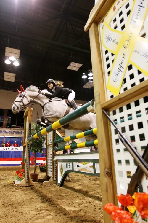 Brandon Sun 27032013 Taylor Parks of Alexander jumps her horse over an obstacle during the popular Prairie Dodge Dog / Horse Relay at the Royal Manitoba Winter Fair on Wednesday evening. (Tim Smith/Brandon Sun)