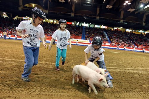 Brandon Sun 27032013 Kids try to catch piglets during the Miss Piggy Scramble at the Royal Manitoba Winter Fair on Wednesday evening.   (Tim Smith/Brandon Sun)