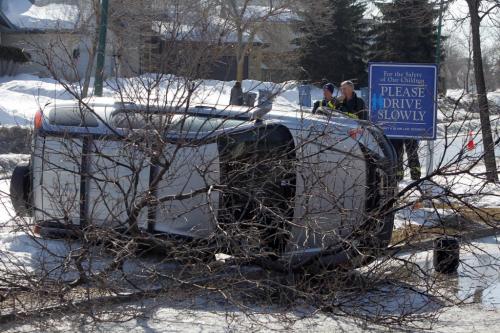 A car spun out of control and took out a tree De La Seigneurie Blvd between Cassin Cres and Peres Oblats at around 11am. Fire crews and police on scene. No word on injuries. March 26, 2013  BORIS MINKEVICH / WINNIPEG FREE PRESS