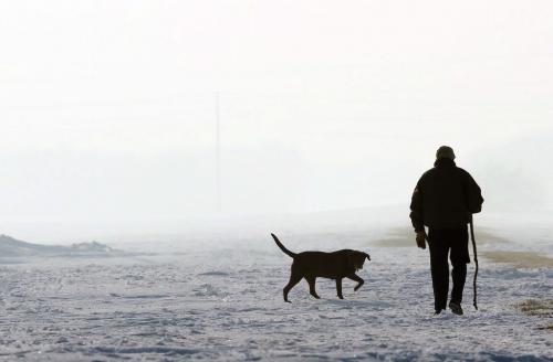 Foggy WalkTom Morgan walks his chocolate lab Jigs through the fog next to the West Perimeter Hyw on Good Friday- Standup photo- March 29, 2013   (JOE BRYKSA / WINNIPEG FREE PRESS)