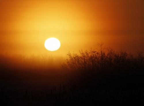 The sun rises over the foggy prairie landscape along Highway 6 in Southern Manitoba on Tuesday, March 26, 2013. (JESSICA BURTNICK/WINNIPEG FREE PRESS)
