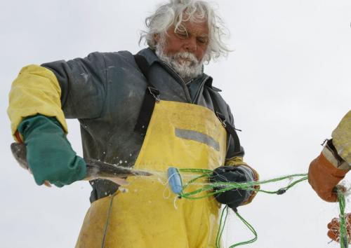 Fairford, Man. ice fisherman Frank Kenyon removes a sucker (also known as mullet) from a gill net on Lake Manitoba. This fish species is of little value on the fish market and will be left on the ice to rot or be eaten by the ravens and other wildlife. Tuesday, March 26, 2013. (REPORTER: BARTLEY KIVES) (JESSICA BURTNICK/WINNIPEG FREE PRESS)