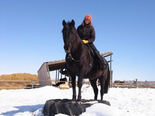 Horse whisperer Judith Graile.   020, - Judith Graile and horse, Ebony, on tractor tire.  Bill Redekop / Winnipeg Free Press