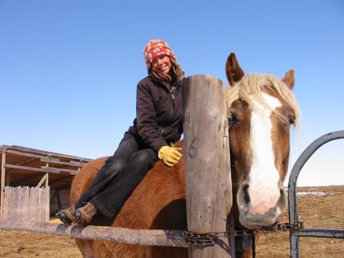 Horse whisperer Judith Graile.   029, 030, 037, 038, 039, 042 - Judith Graille and one of her Belgian horses get close  Bill Redekop / Winnipeg Free Press