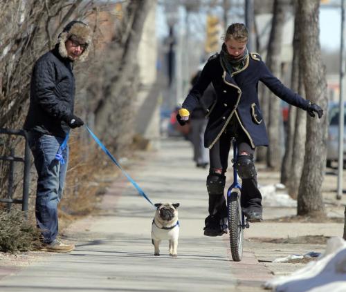 Marcelo Cohen walks his dog Bacon on Corydon Ave. as gelato wielding unicyclist Evie Henry cruses past. WEATHER STANDUP April 8, 2013  BORIS MINKEVICH / WINNIPEG FREE PRESS