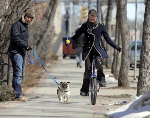 Marcelo Cohen walks his dog Bacon on Corydon Ave. as gelato wielding unicyclist Evie Henry cruses past. WEATHER STANDUP April 8, 2013  BORIS MINKEVICH / WINNIPEG FREE PRESS