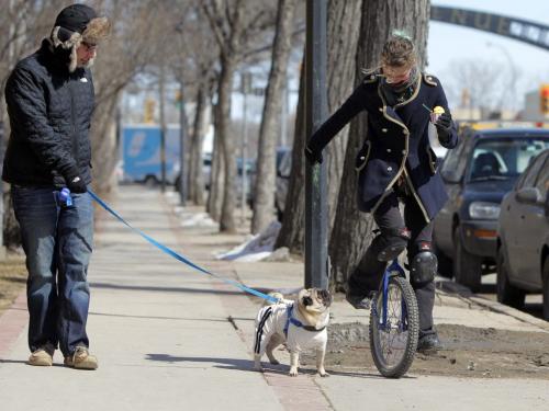 Marcelo Cohen walks his dog Bacon on Corydon Ave. as gelato wielding unicyclist Evie Henry cruses past. WEATHER STANDUP April 8, 2013  BORIS MINKEVICH / WINNIPEG FREE PRESS