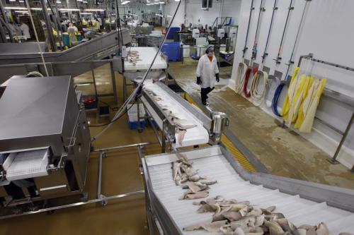 Fish traveling on conveyors for freezing - Freshwater Fish Marketing Corp. 1199 Plessis Rd.- the Winnipeg fish processing plant  receives fish from Manitoba commercial fishers  , processes and ships fish all over the world  - Bart Kives story - KEN GIGLIOTTI / April . 10 2013 / WINNIPEG FREE PRESS