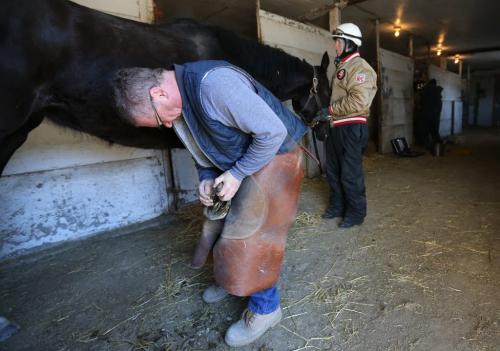 Farrier, Milt Houliston, trimming the feet of Slipper Sue while jockey, Jerry Pruitt keeps her calm in a stable at Assiniboine Downs, Wednesday, April 10, 2013. (TREVOR HAGAN/WINNIPEG FREE PRESS)