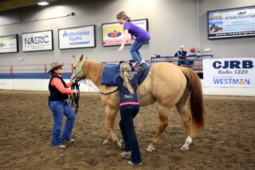 Brandon Sun 12042013 Nine-year-old Elena Neufeld learns how to stand on the back of a horse as instructor Tara Reimer holds the reins during a vaulting class at the first day of Horse3 at the Keystone Centre's Westoba Centre for Agricultural Excellence on Friday. Equestrian vaulting consists of acrobatic and gymnastic moves performed on horseback.  (Tim Smith/Brandon Sun)