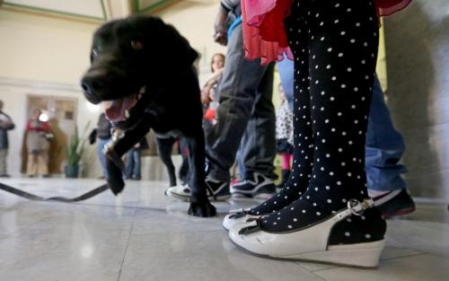 During a demonstration, Rex, a drug detection dog, sniffs around a group of people attending an open house at the Law Courts Building, Sunday, April 14, 2013.  (TREVOR HAGAN/WINNIPEG FREE PRESS)