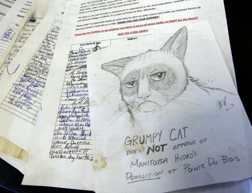 Drawing of grumpy cat  accompanies  petition to save the town pool and grocery store  .Manitoba Hydro is building a new spillway  and the old company town in closing . People living in company housing have been given notice to leave .  Pointe du Bois 's  75mw plant  is  located on the Winnipeg River  160km NW of Winnipeg  ,generating 599million kWh  from a 14m drop built in 1909  at a cost of $3.5million. It was built with  16 turbine generators ,the first coming into service in 1911 opening .Bill Redekop story