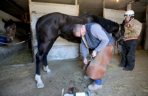 Farrier, Milt Houliston, trimming the feet of Slipper Sue while jockey, Jerry Pruitt keeps her calm in a stable at Assiniboine Downs, Wednesday, April 10, 2013. (TREVOR HAGAN/WINNIPEG FREE PRESS)