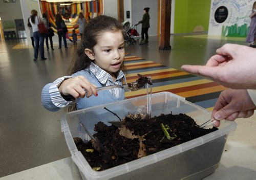 Stdup- The Children's Museum celebrated Earth Day  with activities centred around the theme of reducing ,reusing, and  recycling for kid passing through the facility today .In pic Samara  Sepulveda  age 5 sifts through compost looking for  things that should and should not be composted. She found some plastic that cannot be turned into soil. The kids were also taught how to recycle their snack wrappings and left over snacks . KEN GIGLIOTTI / April . 22 2013 / WINNIPEG FREE PRESS