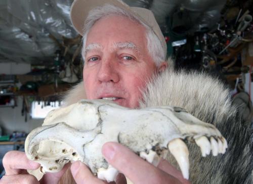 Dr. Vince Crichton with wolf pelt and wolf skull- He talks about popular misconceptions about wolves.- See Alex Paul Story-April 24, 2013   (JOE BRYKSA / WINNIPEG FREE PRESS)