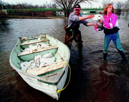 FLOOD OF 1997 photo winnipeg free press