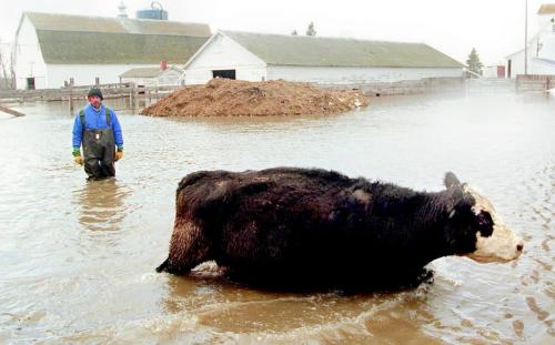 FLOOD OF 1997 photo winnipeg free press