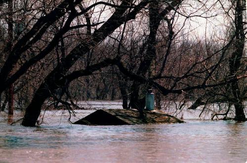 FLOOD OF 1997 photo winnipeg free press