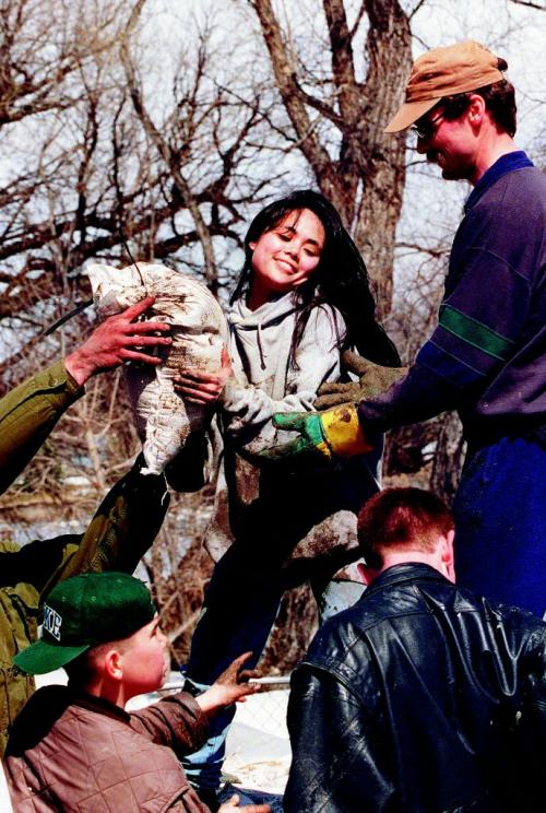 FLOOD OF 1997 photo winnipeg free press