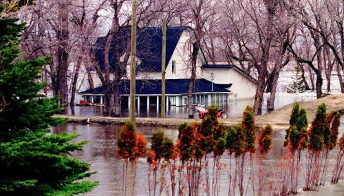 FLOOD OF 1997 photo winnipeg free press