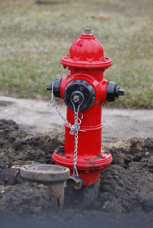 All but one fire hydrant is painted in Morris, Manitoba. Photo project. April 30, 2013  BORIS MINKEVICH / WINNIPEG FREE PRESS